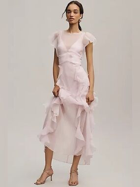 Hutch Amity Organza Ruffle Maxi Dress